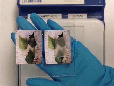 Image result for Dalsimer Instrument