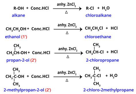 Secondary Haloalkanes Examples at James Reis blog - mechanism of formation of alcohol from alkene