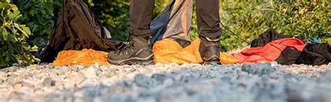 Buy Salomon Men's Quest 4d 3 GTX Backpacking, Grape Leaf/Peat/Burnt ...