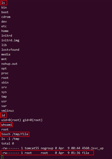Image result for Metasploitable Exploit X Server Detection
