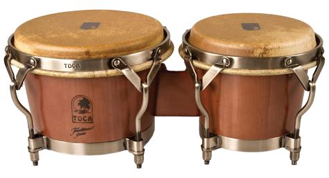 What Is The Bongo Drum at Joseph Sabala blog