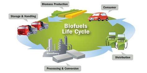 Image result for How Does Biomass Energy Work