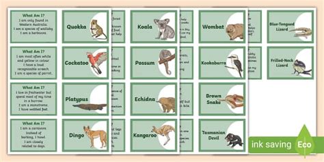 What Am I? Australian Animals Guessing Game (teacher made)