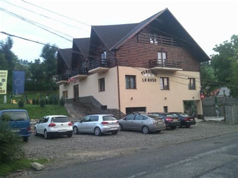 GUESTHOUSE LA BUSU (Bran, Transylvania) - Guesthouse Reviews, Photos ...