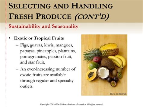 Image result for Codecombat Ingredient Identification Answers