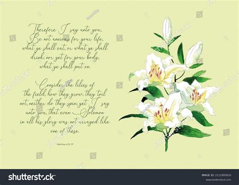 31 Watercolor lily bible 图片、库存照片和矢量图 | Shutterstock