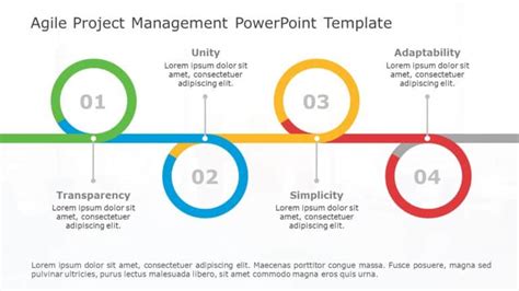 MS Project Portfolio 的图像结果