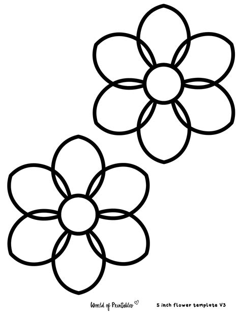 Outlines Of Flowers