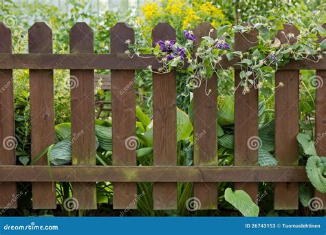 Wooden fence at a garden stock image. Image of lush, courtyard - 26743153