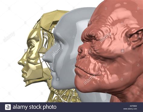 Image result for Accelerated Human Evolution