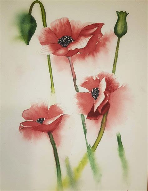 Introduction to Watercolours Workshop , 3/117 Edith street, Brisbane ...