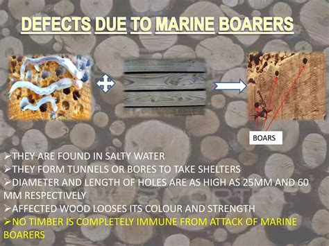 Image result for Defects in Timber