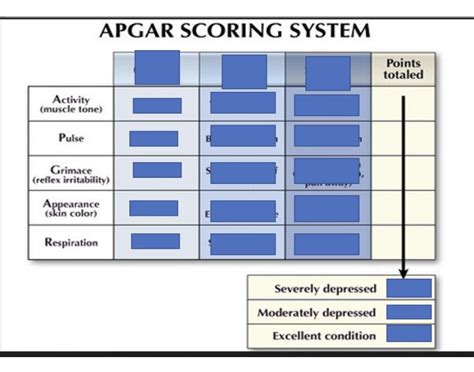 Image result for Apgar Testing