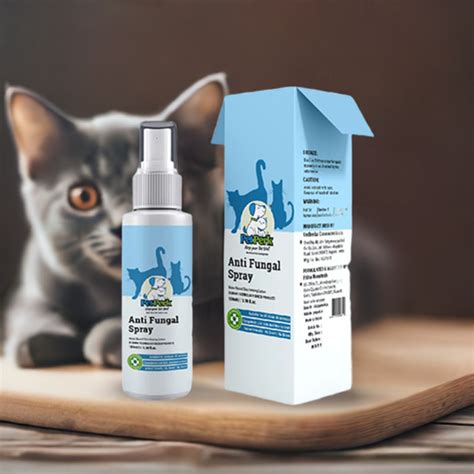 Cat Fungal Infection – Pet Perk