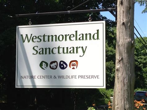 Westmoreland Sanctuary (Mount Kisco) - 2022 What to Know Before You Go ...