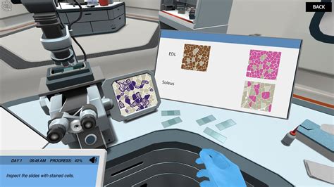 Image result for Muscle Tissue Simulation Labster
