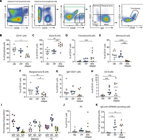 Switched Memory B Cells Markers at Debbie Apodaca blog