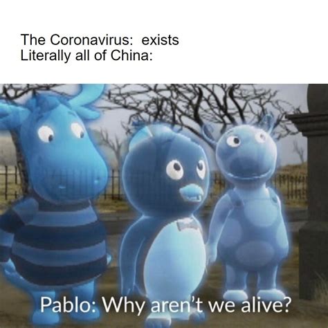 Image result for Botarga Backyardigans Meme