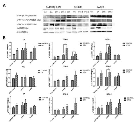 Toxins of Okadaic Acid-Group Increase Malignant Properties in Cells of ...