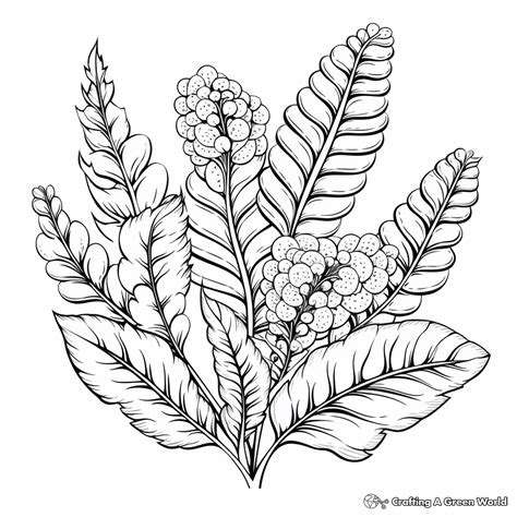 Plant Coloring Pages - Free & Printable! - Worksheets Library