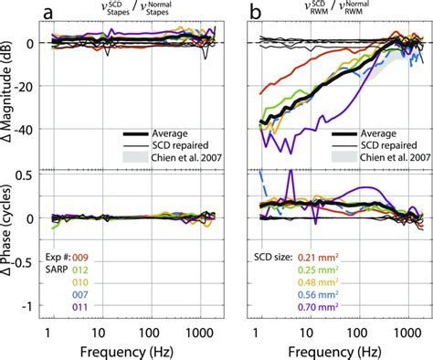 Image result for In-Ear Dynamic Systems Examples