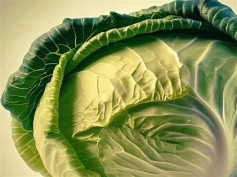 Tapeworm in vegetables: ଏସବୁ ଖାଇଲେ ନଷ୍ଟ ହୋଇଯିବ ବ୍ରେନ୍‌ ! tapeworm brain ...