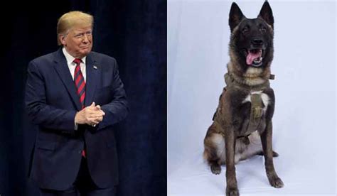 Trump tweets photo of 'beautiful dog' who chased down Baghdadi- The Week