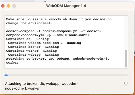 Webodm Tutorial 的图像结果