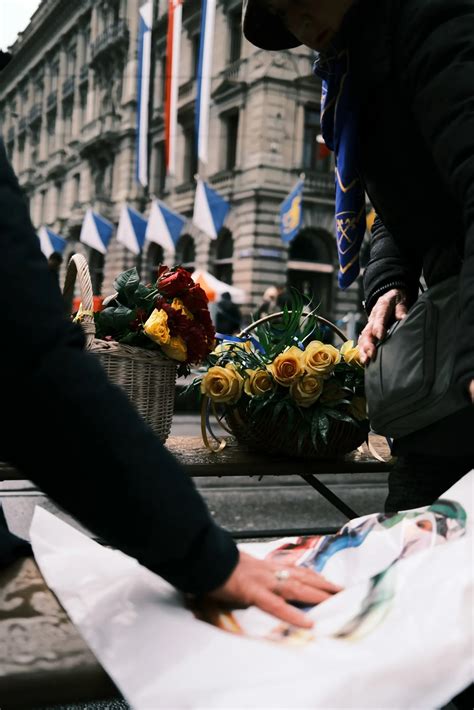 Spring Holiday 的图像结果