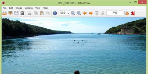 IrfanView 64 的图像结果