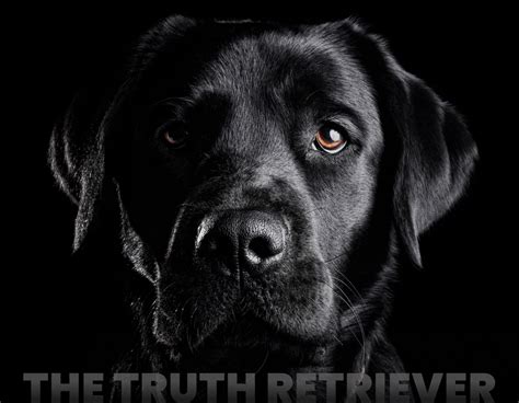 Digital Forensics Houston, Texas | Computer, Cell Phone Forensics