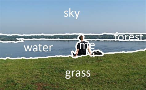 Image result for Object Detection vs Semantic Segmentation Examples