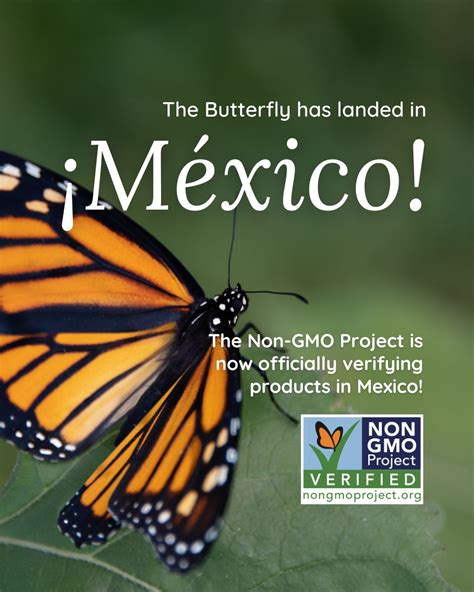 SCS Global Services on LinkedIn: Big news: the butterfly label has landed in Mexico! Exporting ...