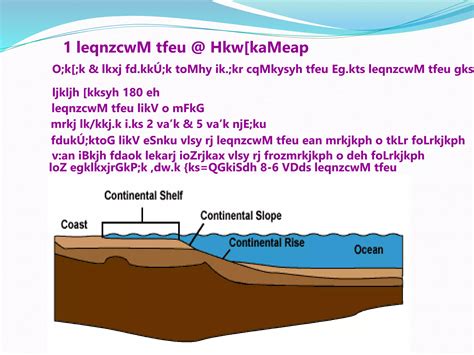 Sea Floor 的图像结果