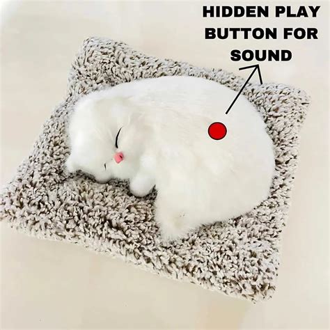 Cute Sleeping Cat Soft Toy Car Dashboard Toys – DOD Kart