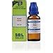 Buy SBL Conium Maculatum Dilution 30 CH- 30ML Online at Low Prices in ...