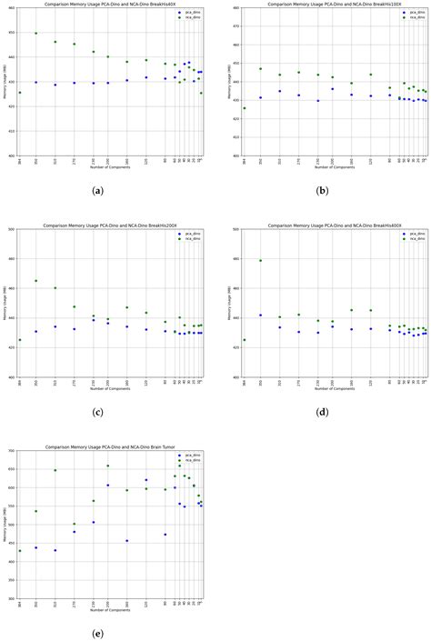 Compact DINO-ViT: Feature Reduction for Visual Transformer