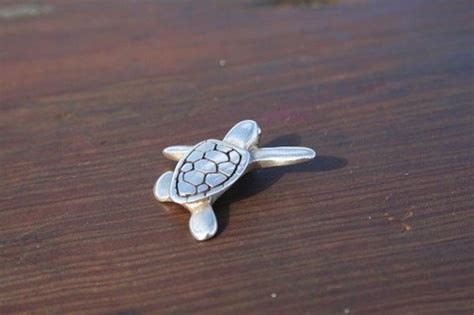 Image result for Silver Shell Turtle