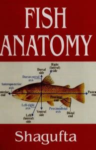 Fish Anatomy: Buy Fish Anatomy by Shagufta at Low Price in India ...