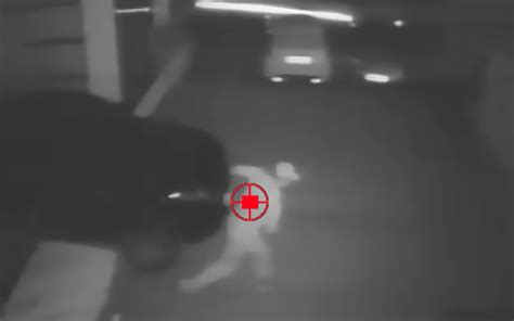 Image result for Sublethal Remote Gun System