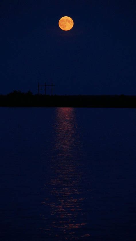 [100+] Dark Mode Backgrounds | Wallpapers.com