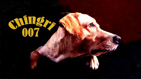 Motion Graph 的图像结果