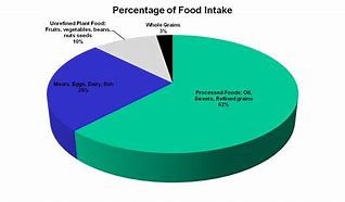 Image result for food intake