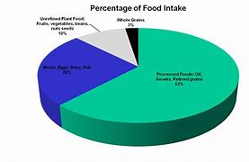 Image result for food intake