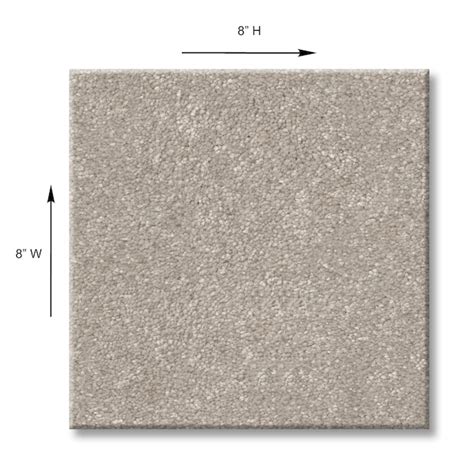 STAINMASTER (Sample) Best Intentions III Sculpture Brown 68.3-oz sq ...