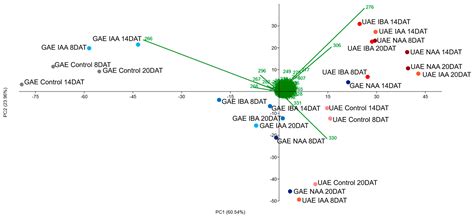Effect of Auxins on the Accumulation of Alkaloids in Ungrafted Annona ...