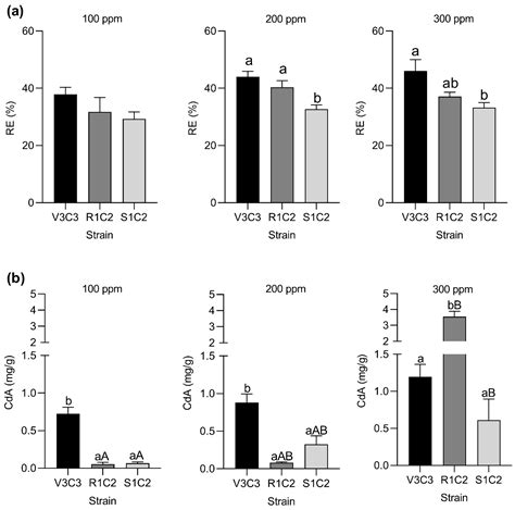 Bioremediation Potential of Native Bacillus sp. Strains as a ...