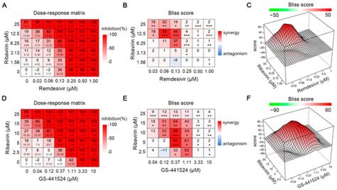 The Combination of GS-441524 (Remdesivir) and Ribavirin Results in a ...