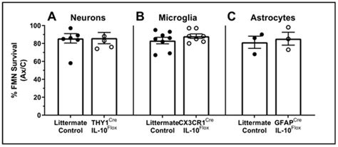 Cellular Sources and Neuroprotective Roles of Interleukin-10 in the ...