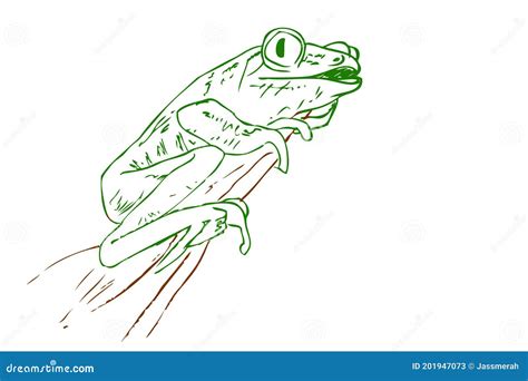 Frog Drawing Tutorial 的图像结果